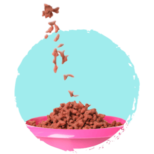 racao seca - Início