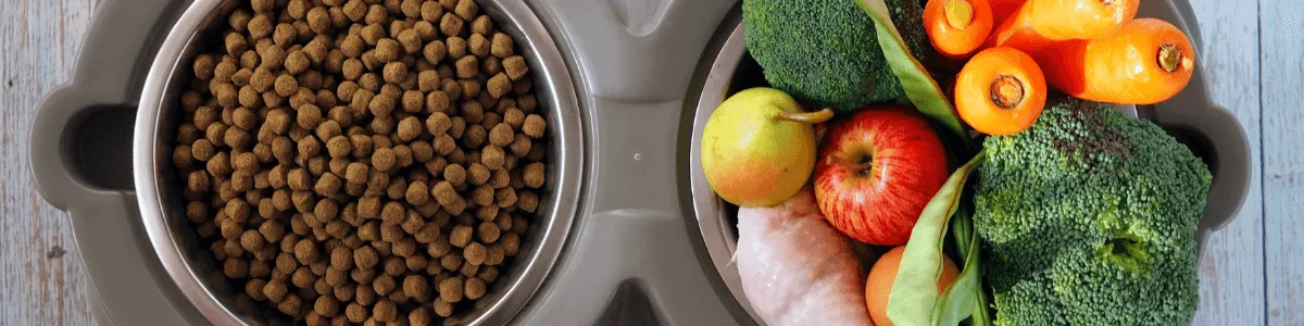 taça de ração composto por ingredientes naturais e taça com ingredientes naturais (frango, brócolos, cenoura, maça)