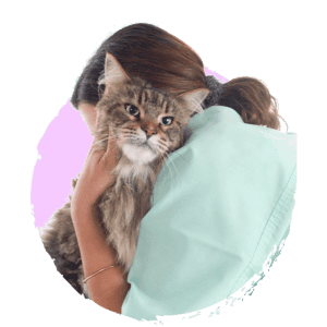 cuidados especiais - Início