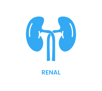 Renal