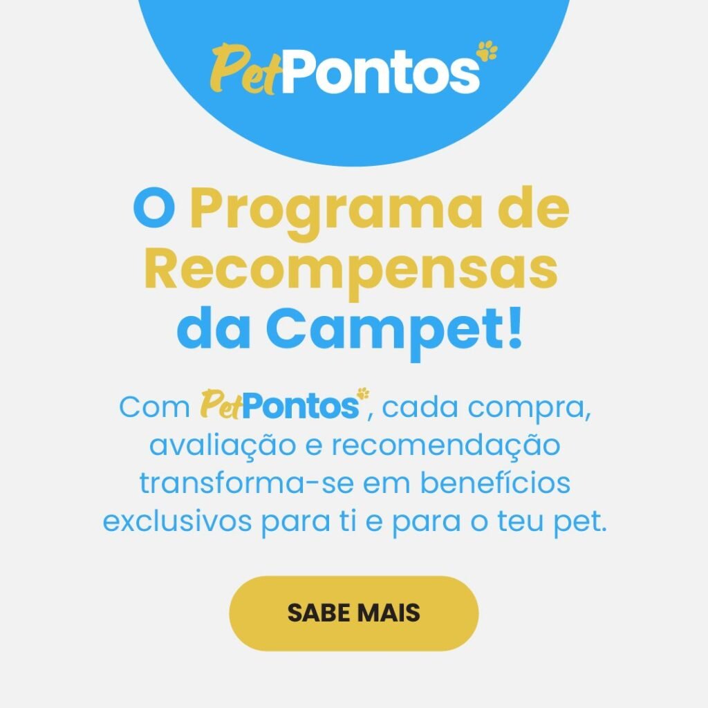 ptepontos square banner - Início