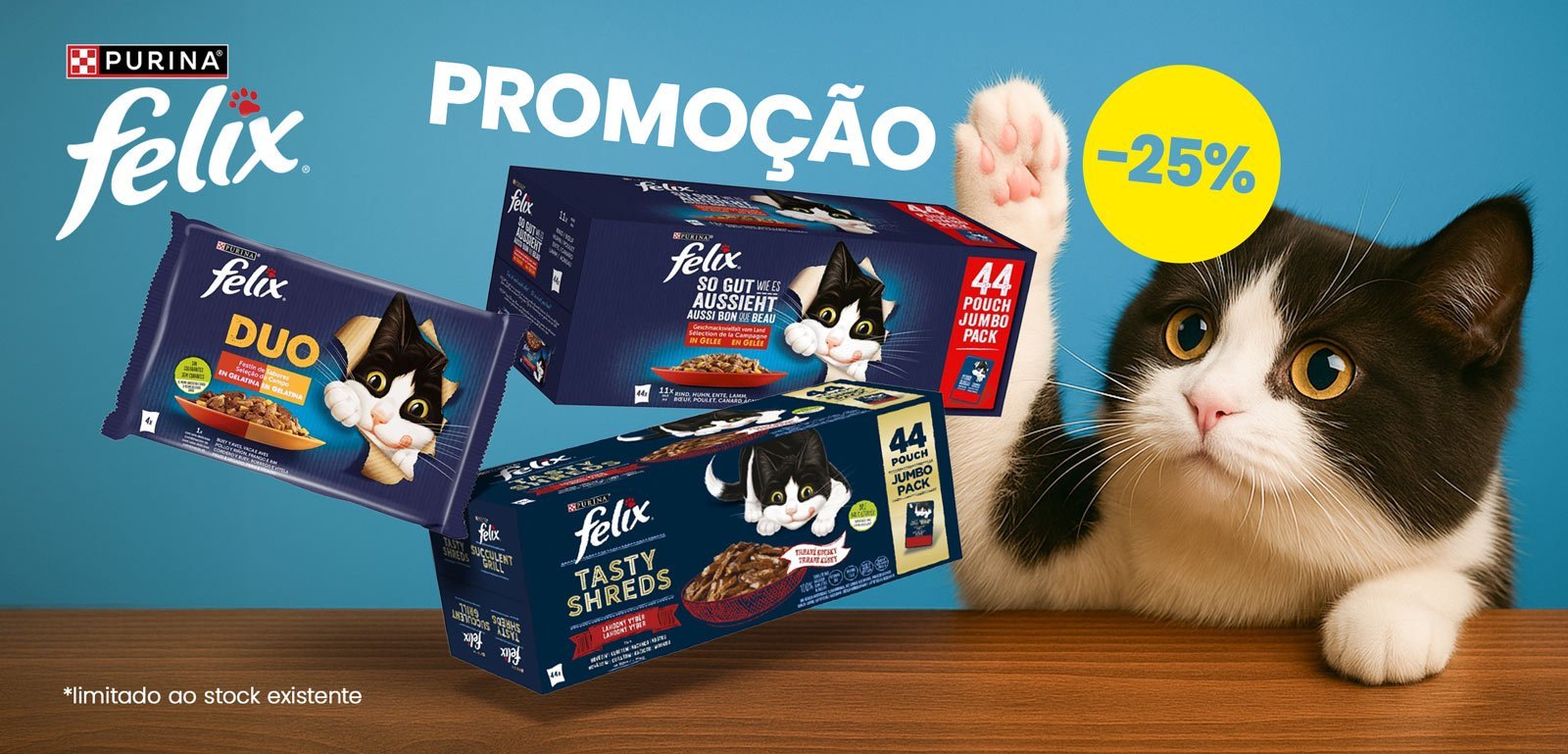 purina_felix.jpg