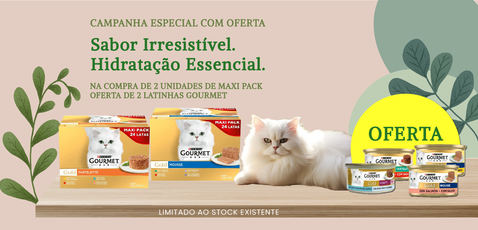 gourmet_campanha_2+2