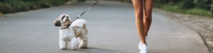 blog: Dicas para Passeios Seguros no Verão