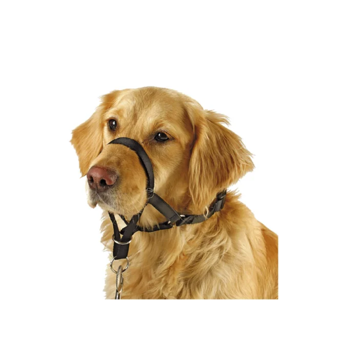 Arnês para Treino e Educação Kerbl para Cão