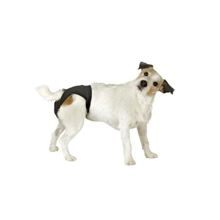 Calça Anticoncepcionais Kerbl para Cão