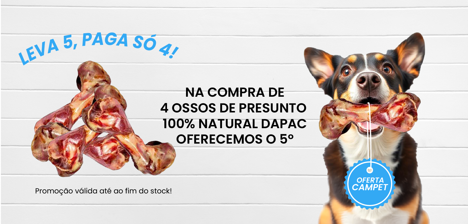 campanha promocional osso de presunto 100% natural dapac 4+1
