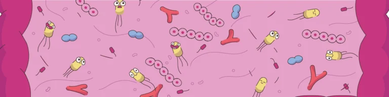 Digestão feliz: suplementos na transição alimentar