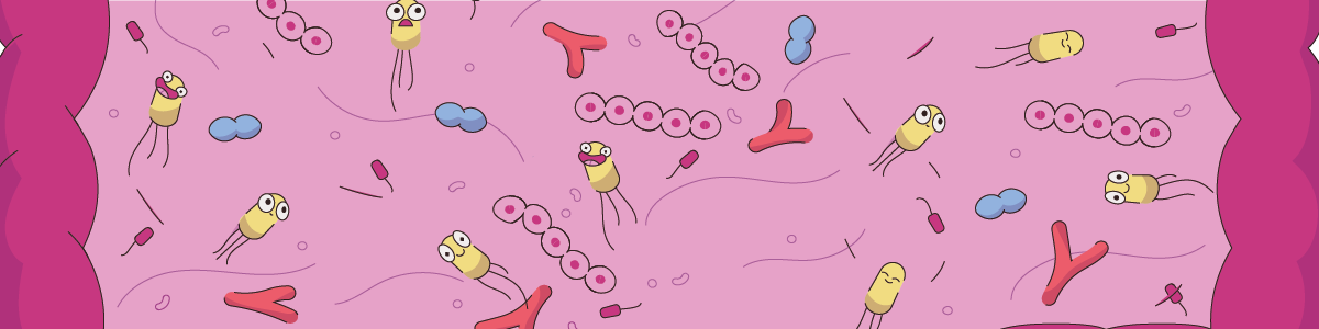 blog Digestão feliz_suplementos na transição alimentar