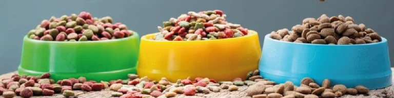 Transição alimentar: guia para cães e gatos