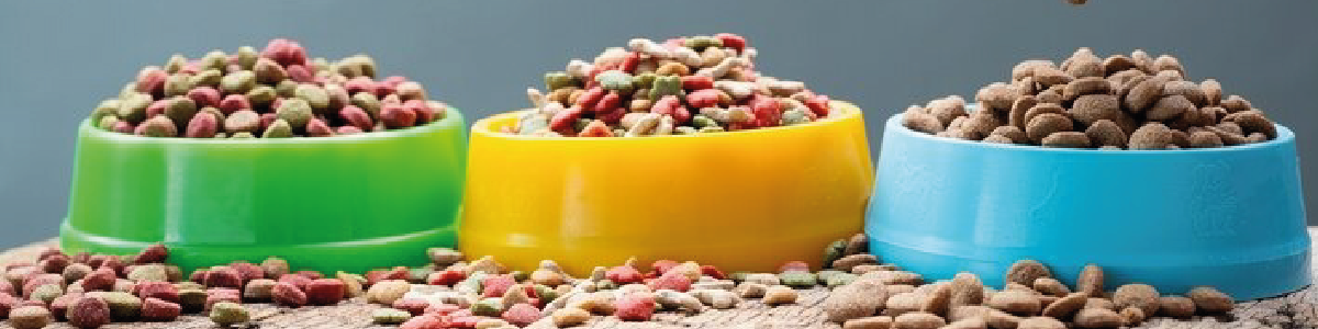 blog: Transição alimentar_guia para cães e gatos