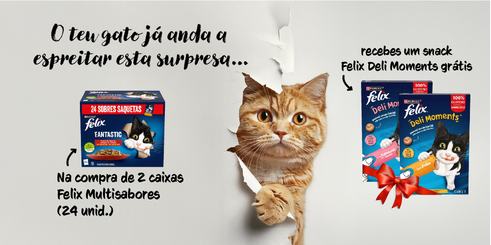 Campanha felix 24 + brinde felix delimoments