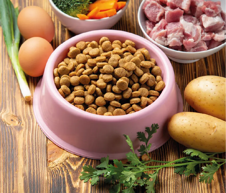 rações e snacks formulados com ingredientes naturais