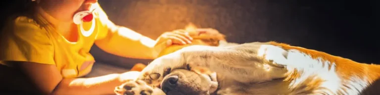 Dia Mundial do Animal: Porque é que todos devemos celebrá-lo?