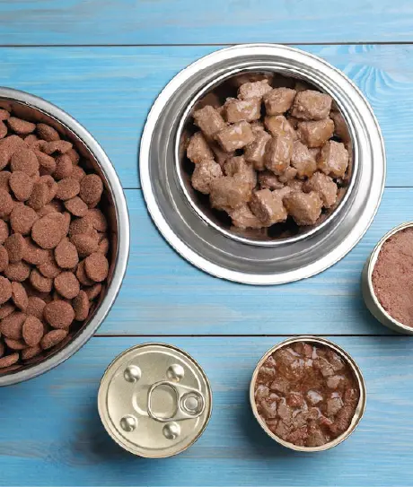 Como deve ser a alimentação natural para pets com doença renal