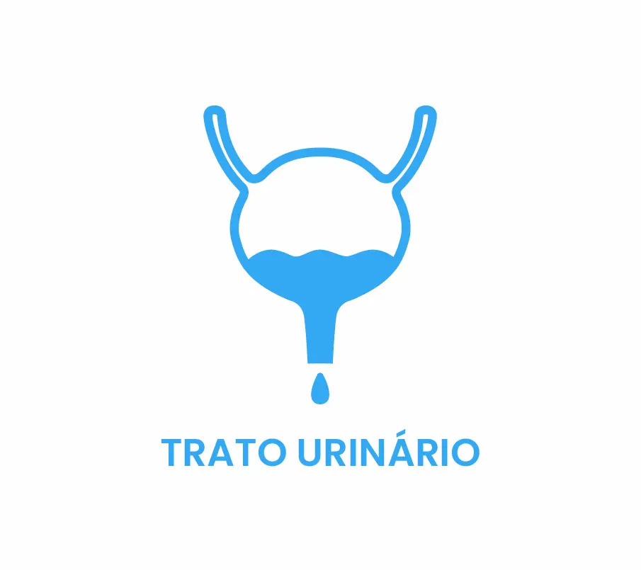 Trato Urinário