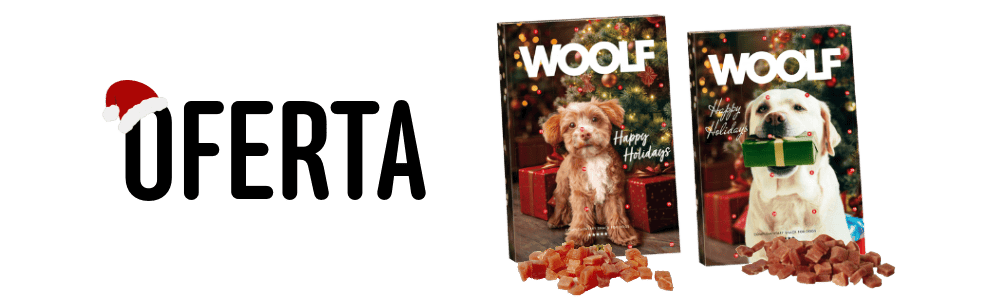 Sem titulo 7 1 - Início