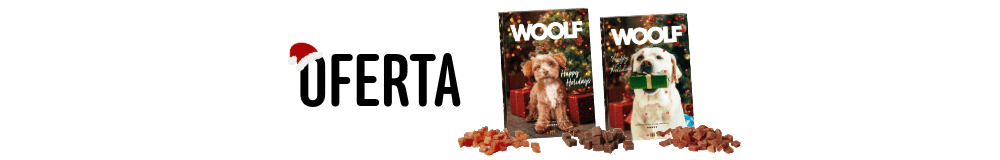 Sem titulo 8 1 - Início