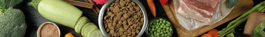 Sustentabilidade & ingredientes de qualidade: mais do que um “plus”