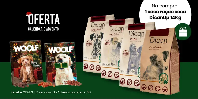 dican - Promoções
