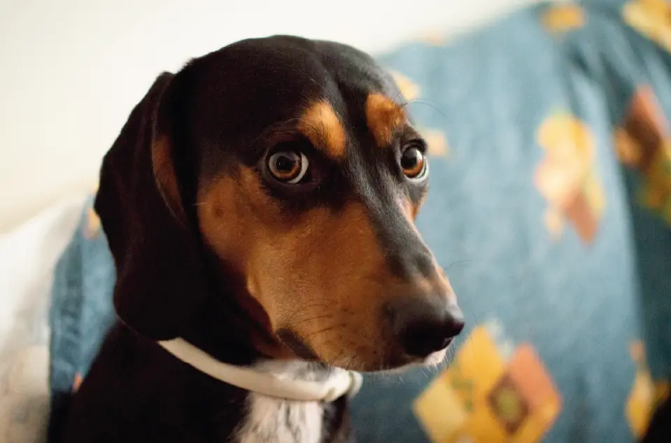 Barulhos e luzes: lidar com o excesso de estímulos