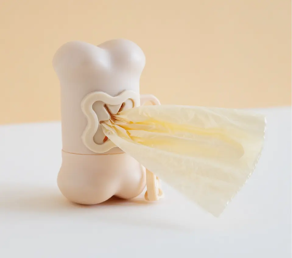 O intestino e um centro de equilibrio - A alimentação natural e as doenças crónicas