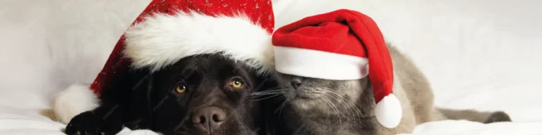 Patudos e Natal: como garantir um Natal seguro, feliz e tranquilo para cães e gatos