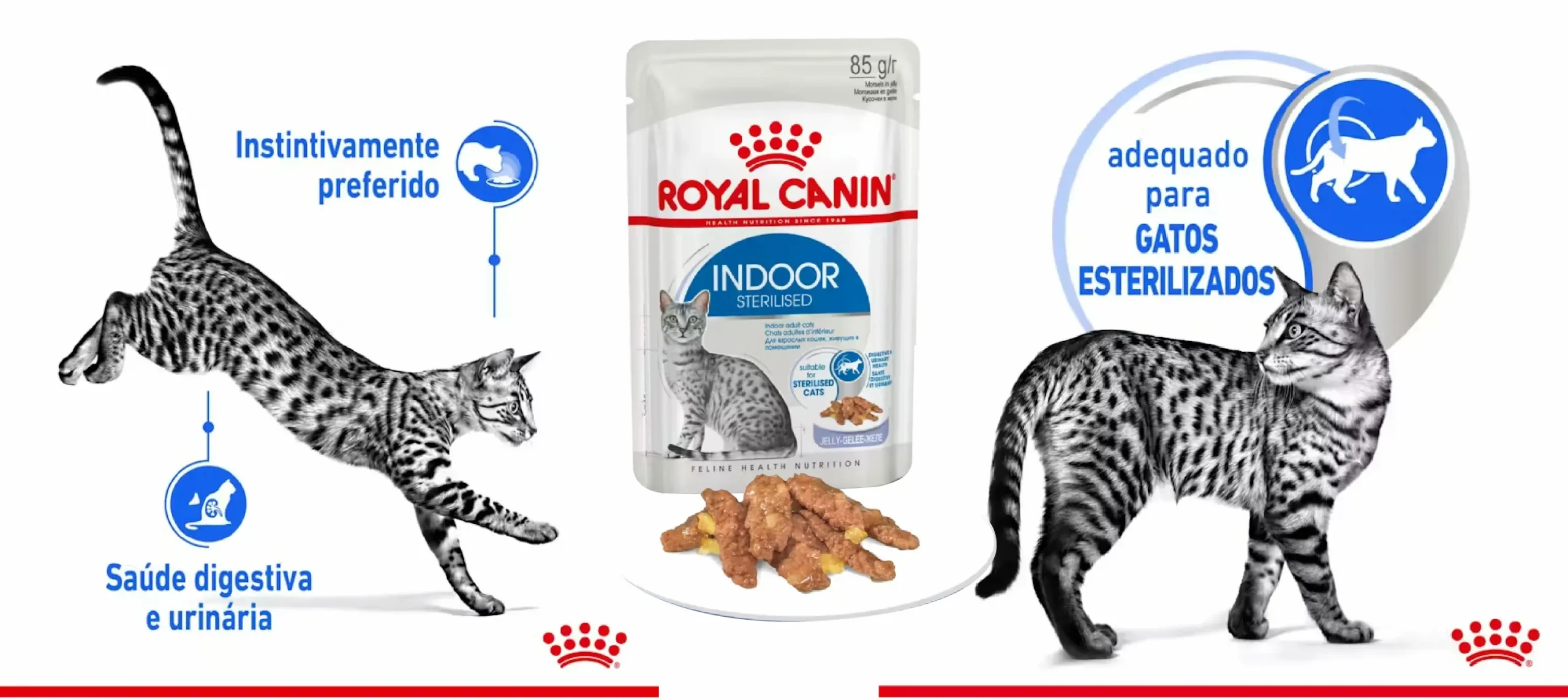Ração Húmida para Gato Royal Canin Indoor Sterilized Jelly_carateristicas