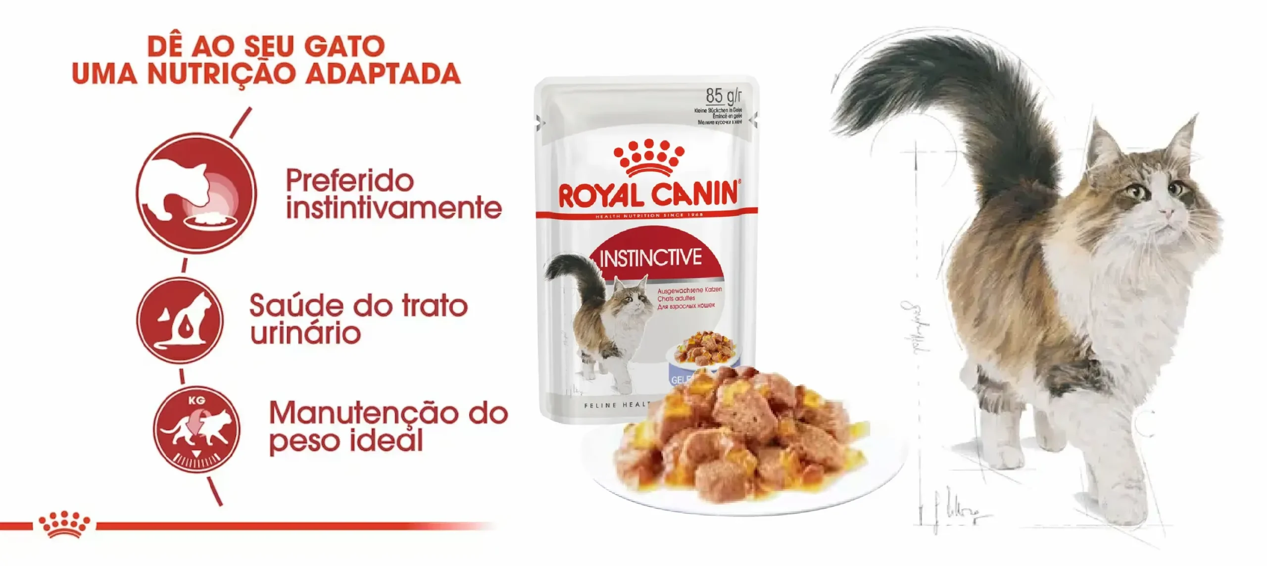 Ração Húmida para Gato Royal Canin Instinctive Jelly_carateristicas