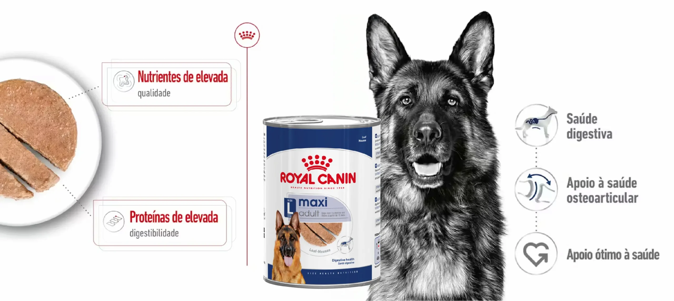 ração húmida +ara cão Royal Canin Maxi Adult carateristicas