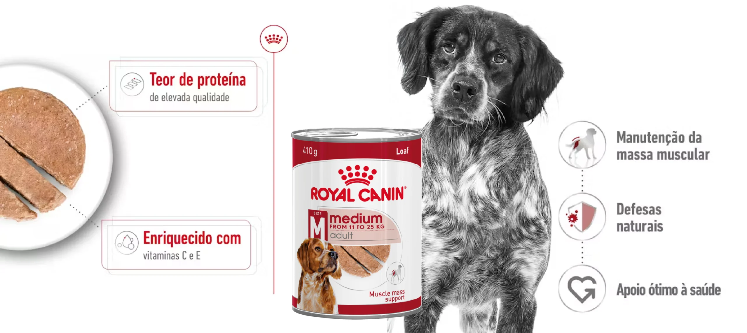 ração húmida para cão Royal Canin Medium Adult-carateristicas