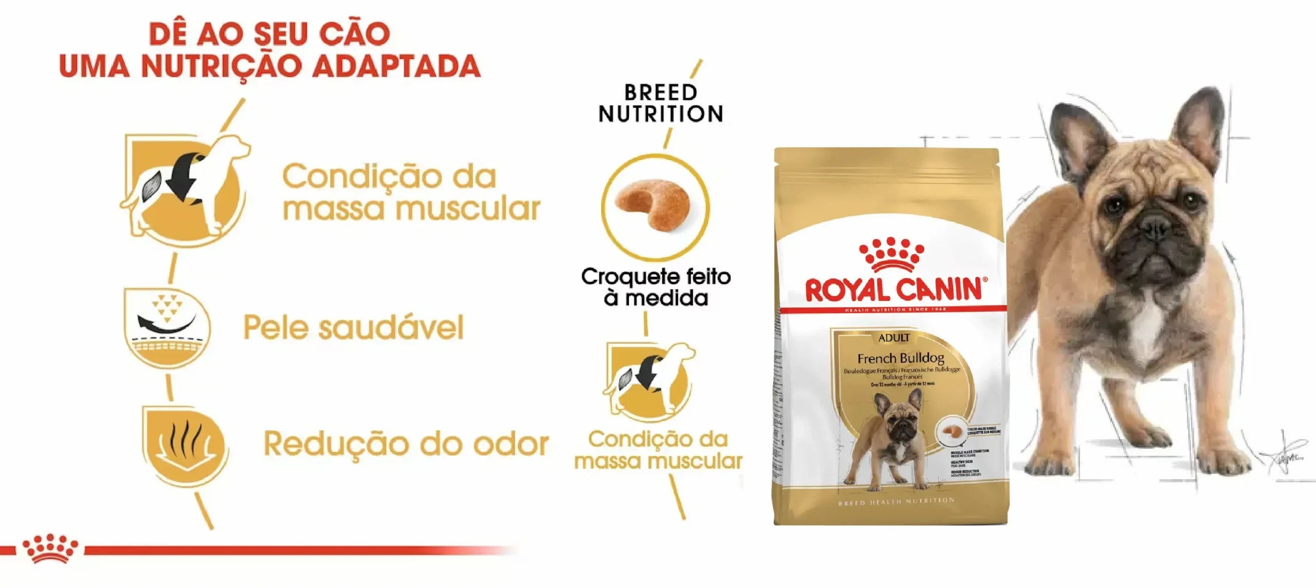 Ração Seca para Cão Royal Canin French Bulldog Adult_carateristicas