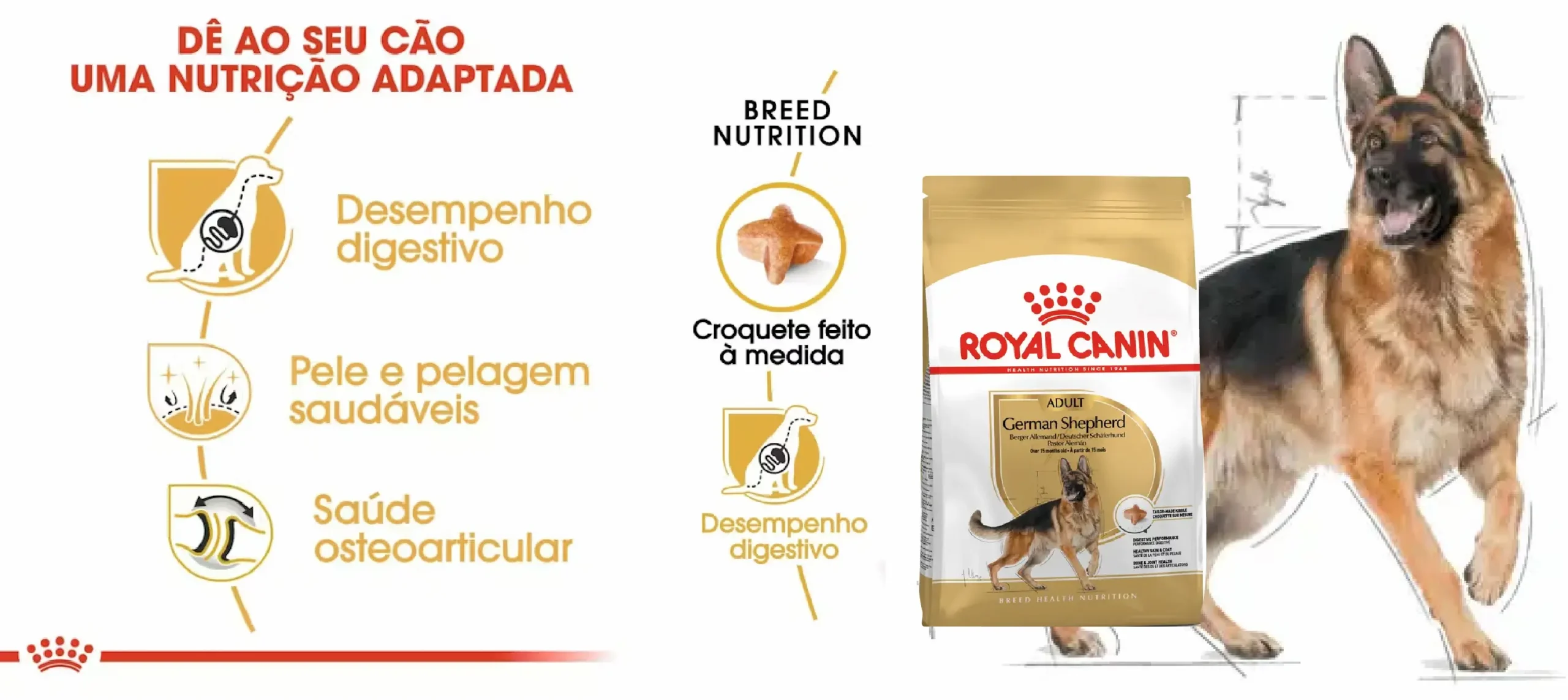 Ração Seca para Cão Royal Canin German Shepherd Adult_carateristicas