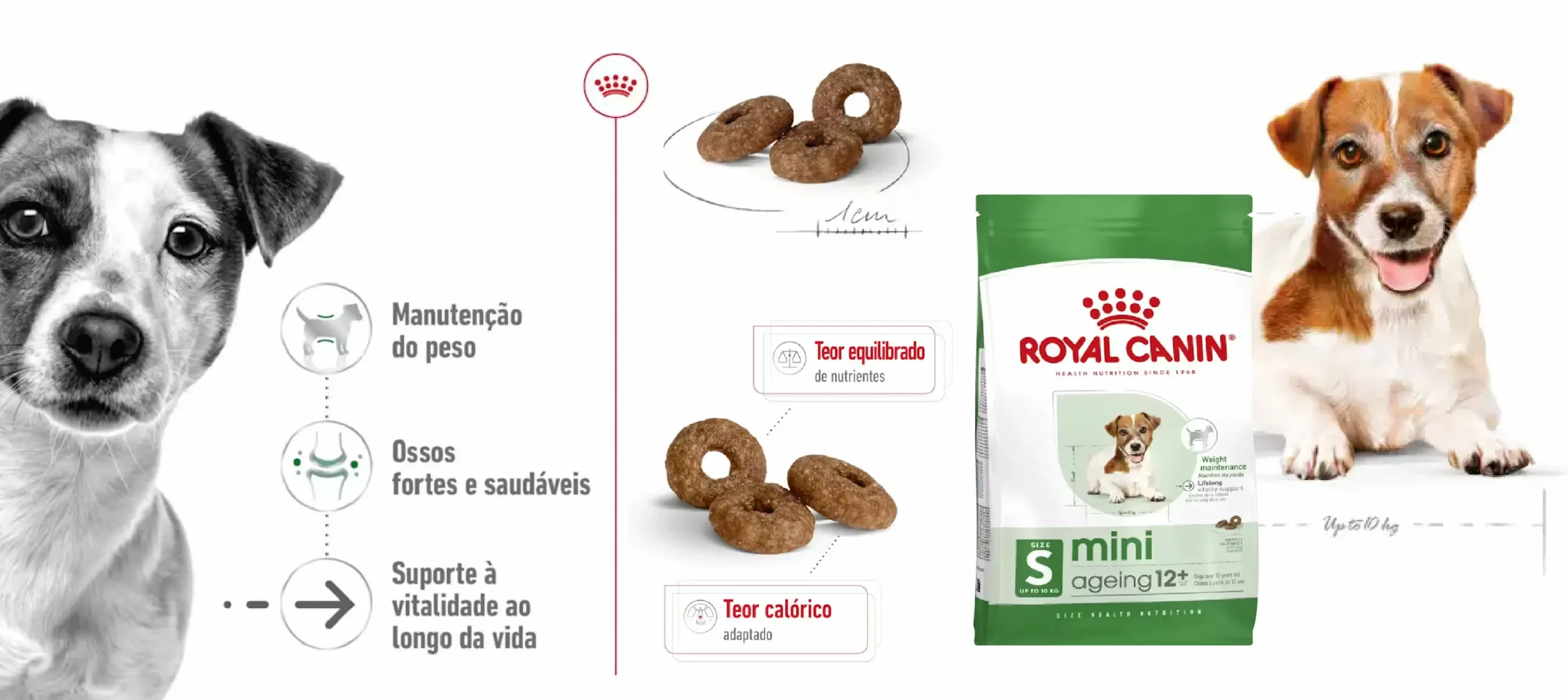 Ração Seca para Cão Royal Canin Mini Ageing 12+_carateristicas