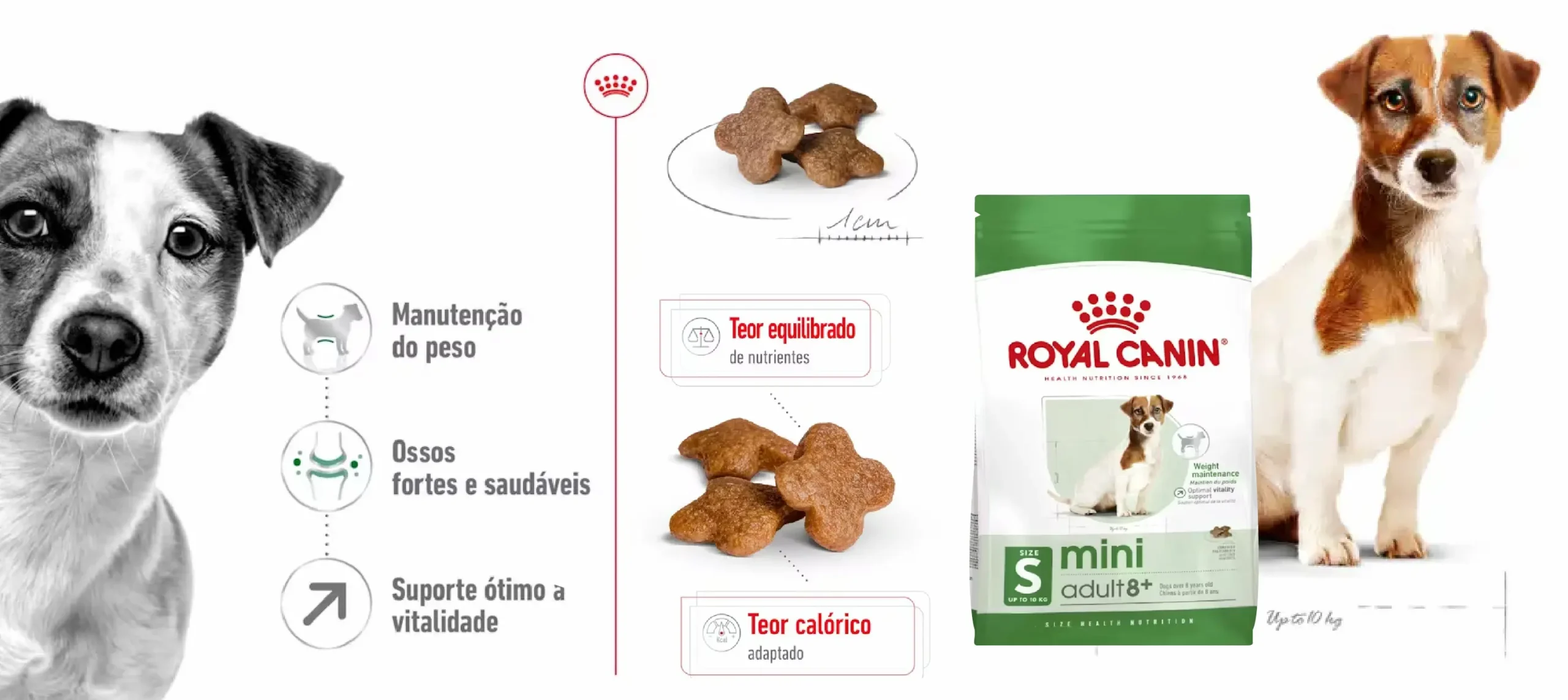 Ração Seca para Cão Royal Canin Mini Adult 8+_carateristicas