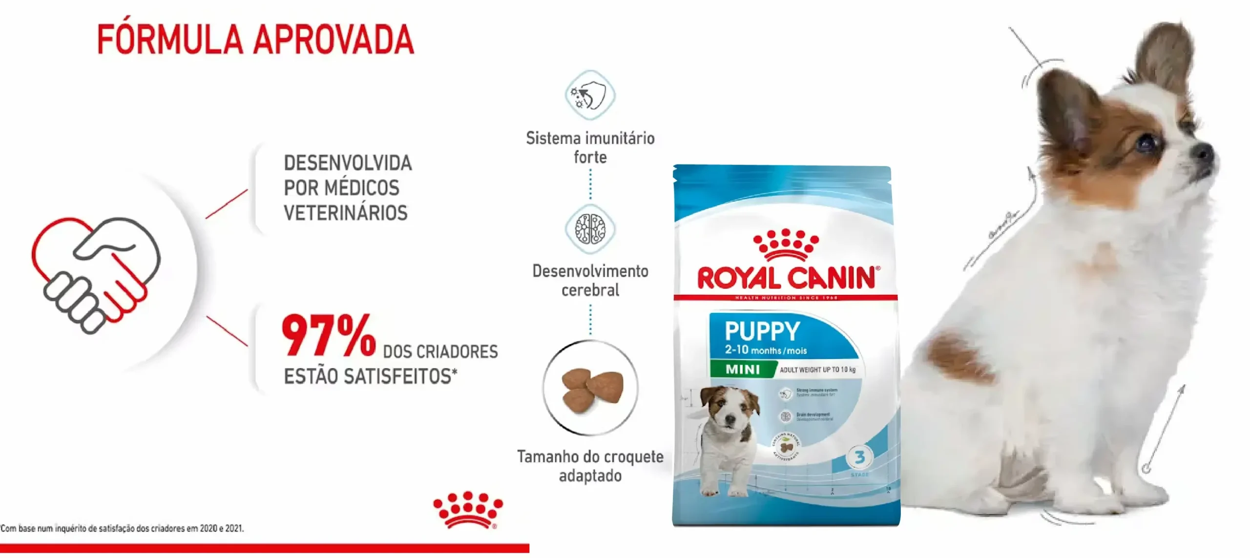 Ração Seca para Cão Royal Canin Mini Puppy_carateristicas