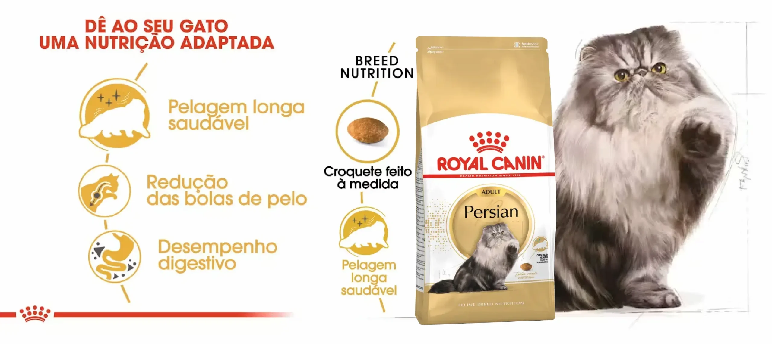 Ração Seca para Gato Royal Canin Persian Adult_carateristicas