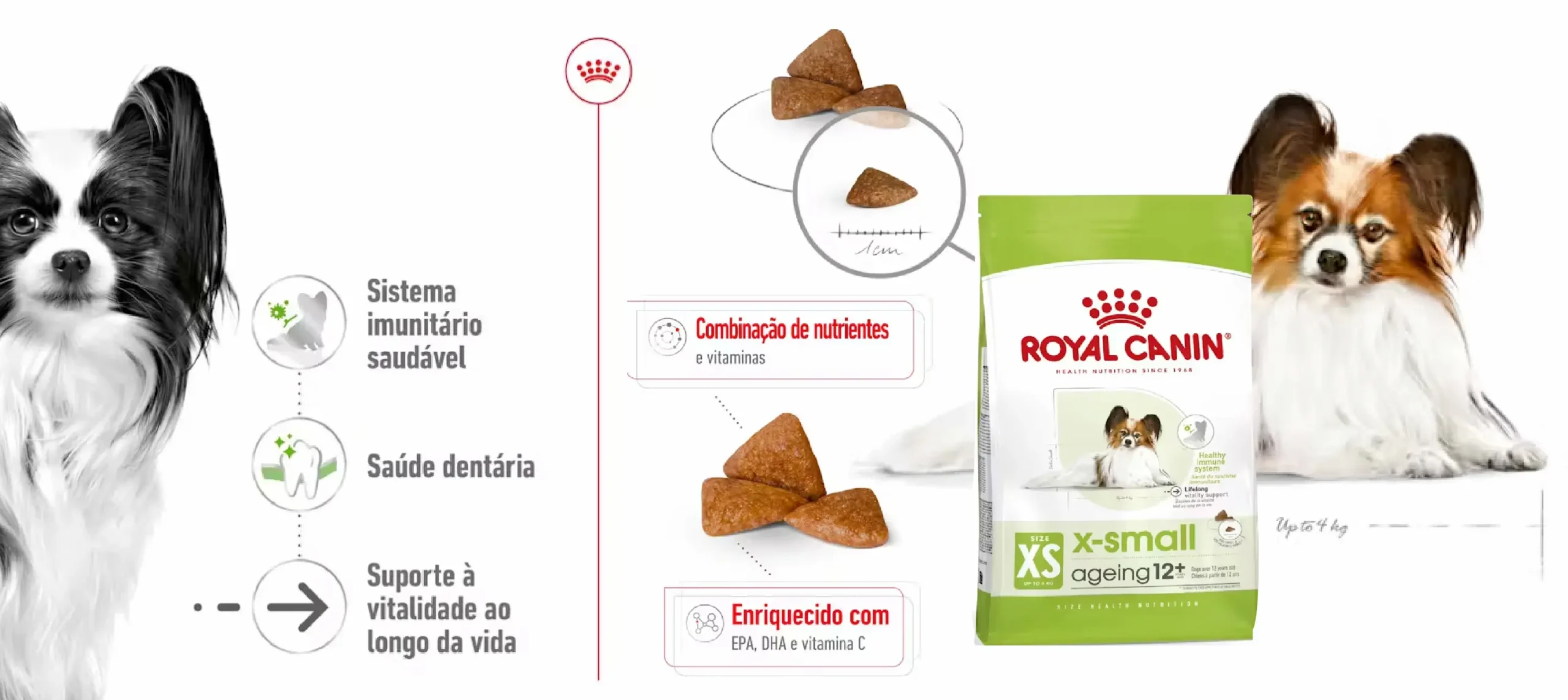 Ração Seca para Cão Royal Canin X-Small Adult 12+_carateristicas