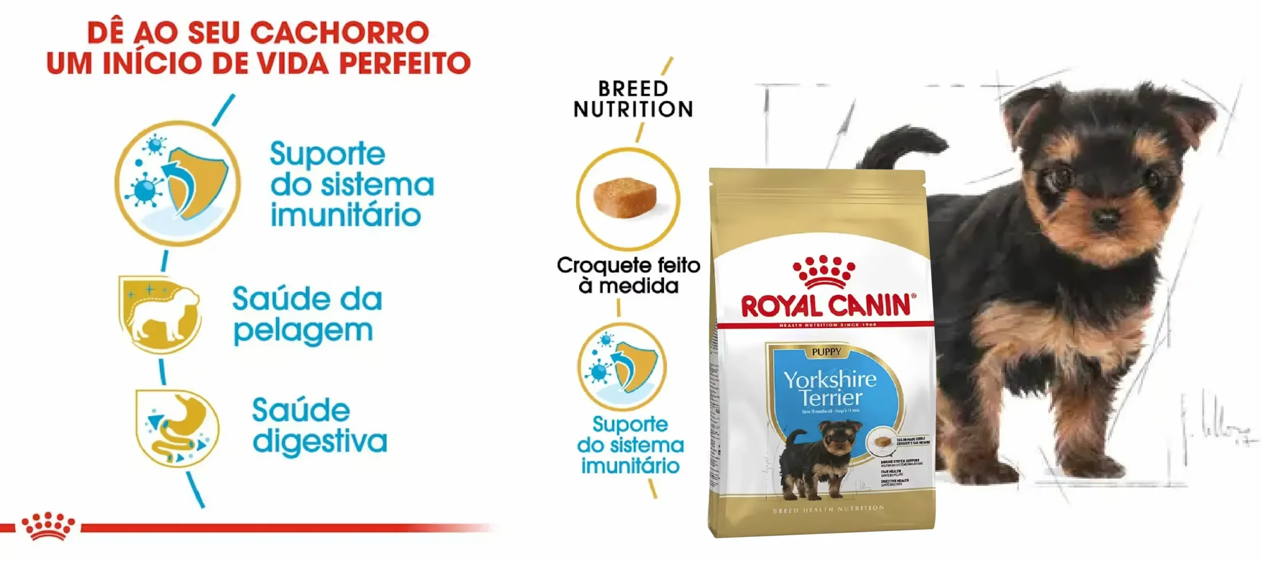 Ração Seca para Cão Royal Canin Yorkshire Terrier Puppy_carateristicas