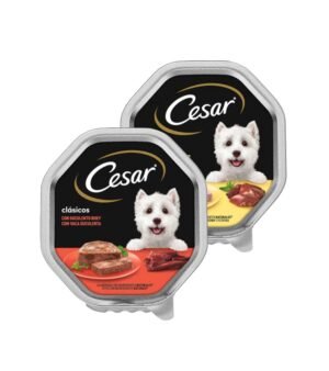 Cesar Terrina Comida Húmida para Cão