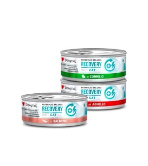 Disugual Metabolic Balance CAT Recovery Paté 85gr Alimento Húmido para Gato