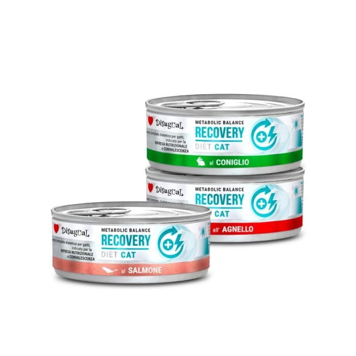 Disugual Metabolic Balance CAT Recovery Paté 85gr Alimento Húmido para Gato