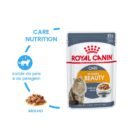 Royal Canin Intense Beauty 85gr Ração Húmida para Gato