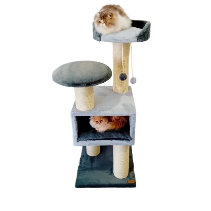 Gato Real Torre Arranhador Pet Gold para Gato 1,28cm